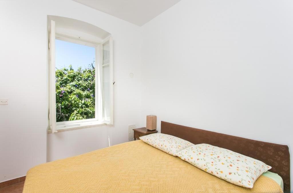 Apartment Tranquilo Dubrovnik Exterior photo